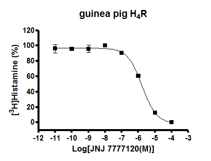 guinea pig H4R binding